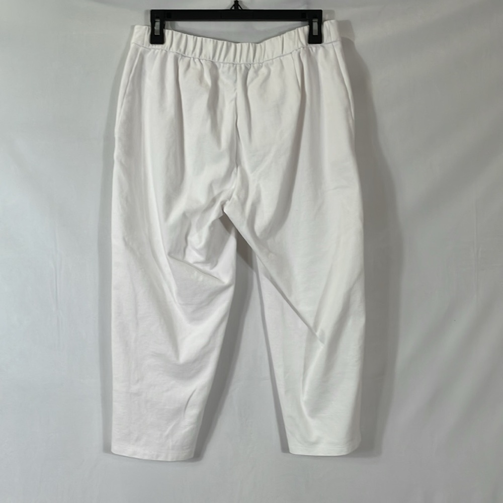 Eileen Fisher Pants XS White Cropped Stretch Pants Elastic Back EUC - Picture 2 of 9